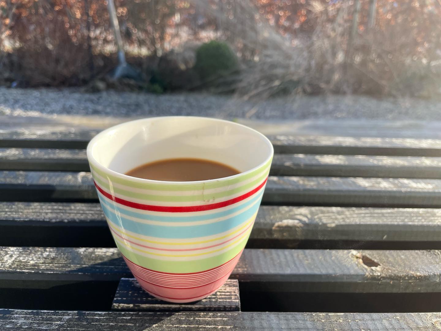 AHHH • årets første kop kaffe i sol på terrassen. Jeg bliver så glad ved tanken om at der bliver flere og flere af de stunder i de kommende måneder. 
•
#countrylivsliv #kaffeisolen #solpåterrassen #kaffepåterrassen #solijanuar #kaffepause